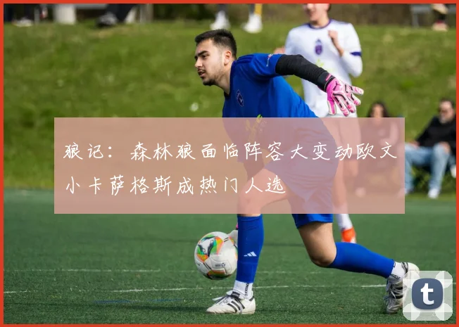狼记：森林狼面临阵容大变动欧文小卡萨格斯成热门人选
