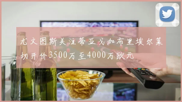 尤文图斯关注蒂亚戈加布里埃尔莱切开价3500万至4000万欧元